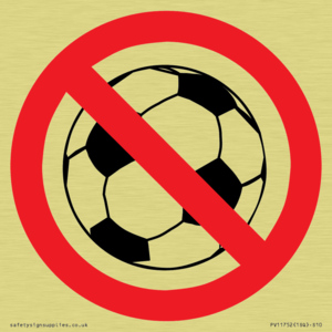 P909 Prohibition: No ball games